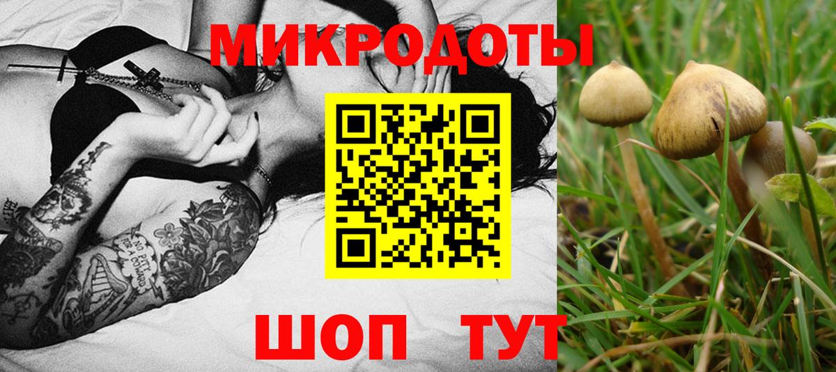 Великий Новгород  Галлюциногенные грибы мицелий  дарнет шоп  Вход с VPN 