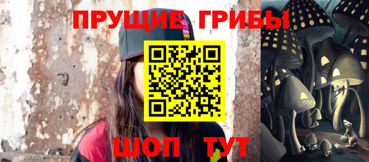 Галлюциногенные грибы Psilocybine cubensis Великий Новгород